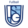 Logo Fußball 100 zu 100